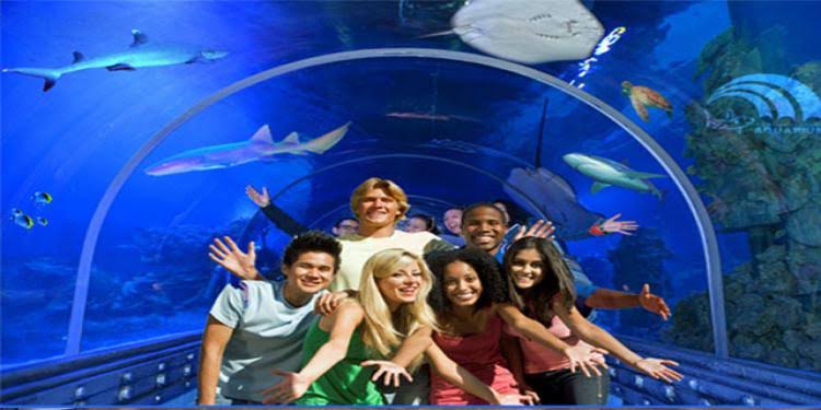 Entertainment Excursions In Hurghada