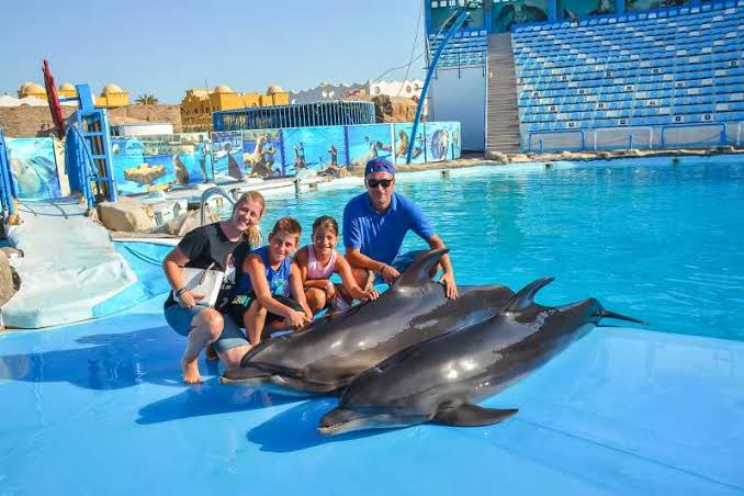 Entertainment Excursions In Sharm