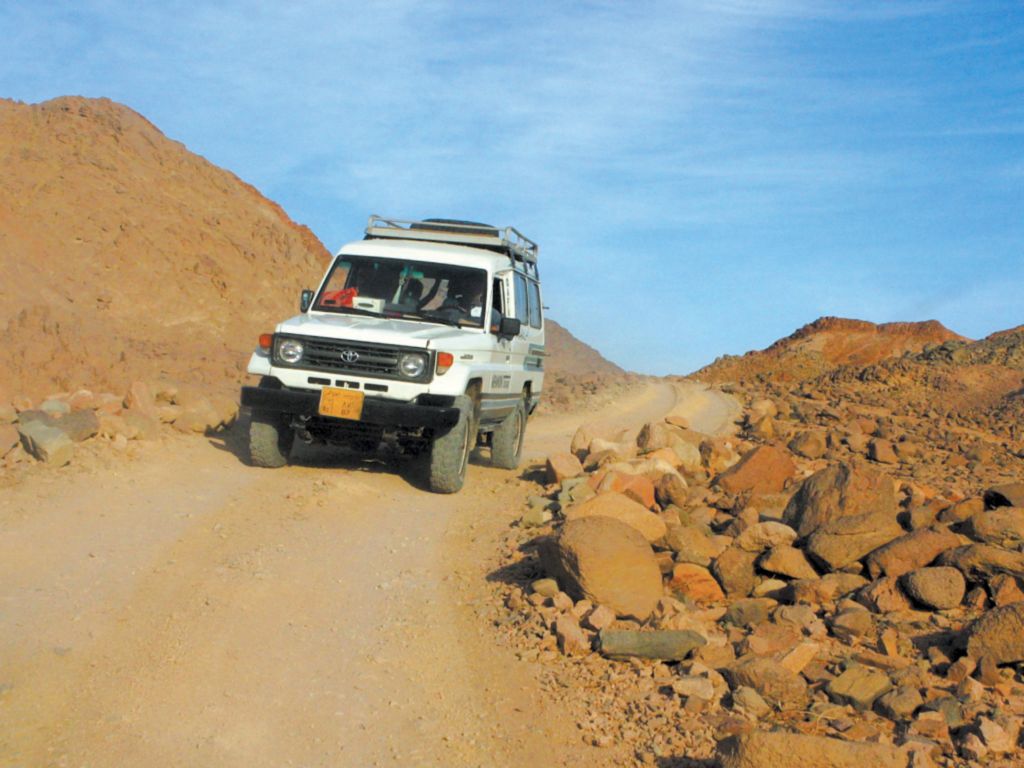Safari Excursions In Marsa Alam